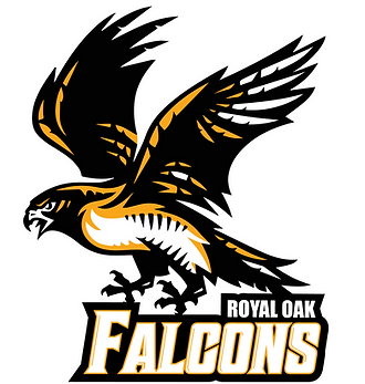 RO_Falcons_logo-01_large