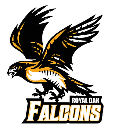 RO_Falcons_logo-01_large