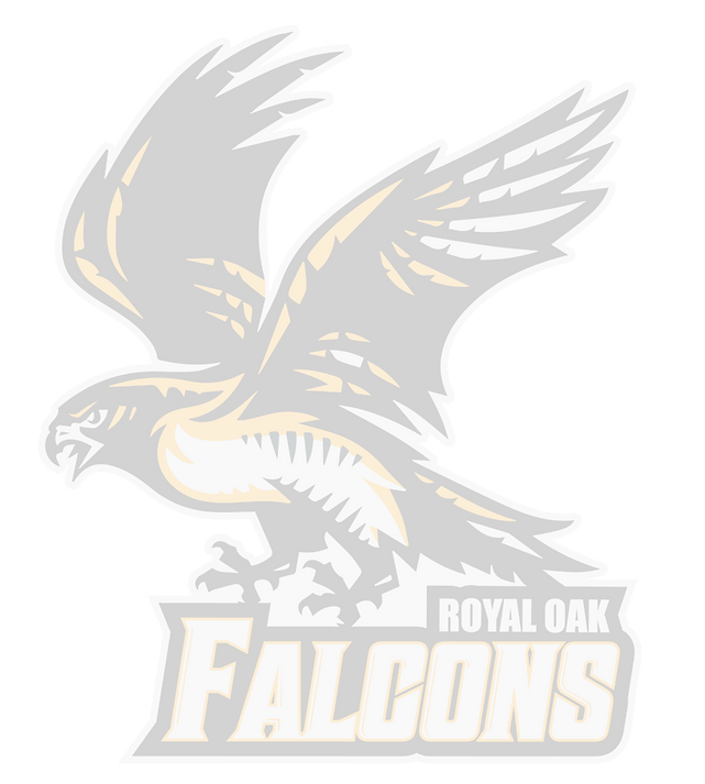 RO_Falcons_logo-01_large_edited